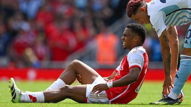 1704207891511086783.jpeg timber.jpeg