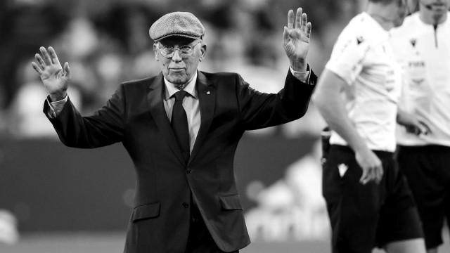 1676994250057089461.jpg huangma.jpg